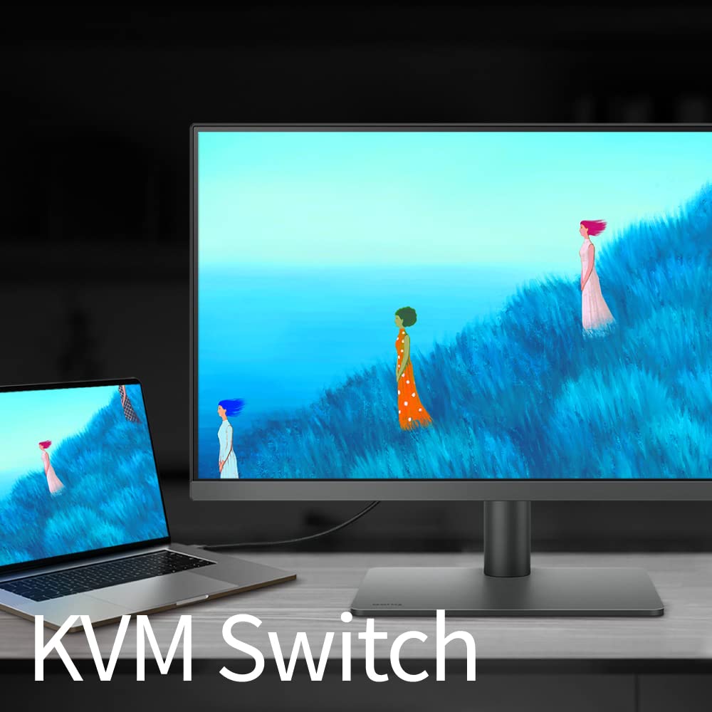 BenQ PD2506Q 25"(63Cm) 2K IPS QHD HDR10 Monitor| 95% P3| 100% sRGB| 100% Rec. 709| Pantone Skintone Validated| Daisy Chain|CAD/CAM|Animation Mode|Color Accurate|Auto Pivot|HDMI|DP|USB-C(65W)(Black)