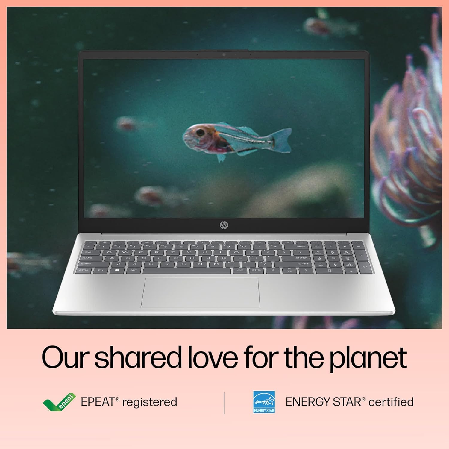 HP 15, 13th Gen Intel Core i5-1334U, 16GB DDR4, 512GB SSD (Win 11, Office 21, Silver, 1.59kg), Anti-Glare, 15.6-inch(39.6cm) FHD Laptop, Intel Iris Xe Graphics, Backlit KB, 1080p FHD Camera, fd0221TU