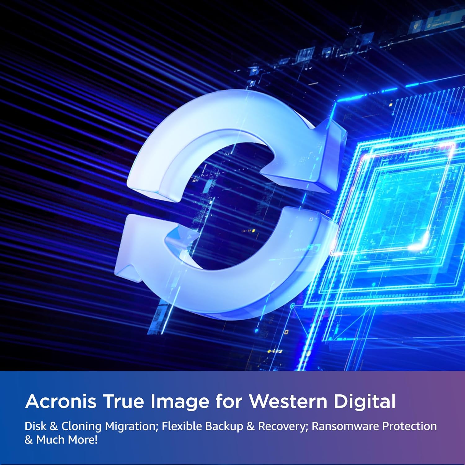 Western Digital Wd Blue Sn580 Pcie Gen 4 Nvme Ssd Internal Storage, 250Gb