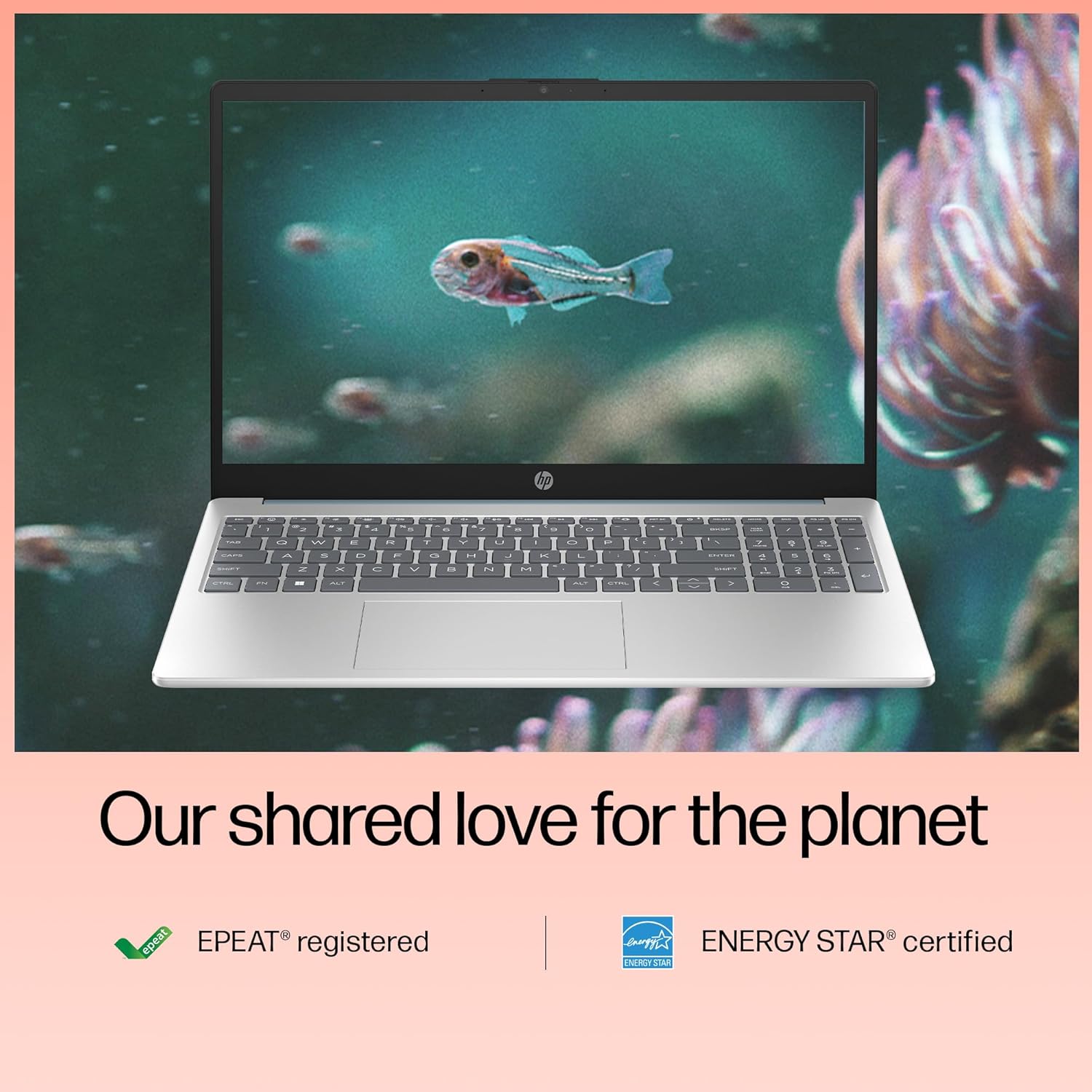 HP 15, 13th Gen Intel Core i5-1335U, 8GB DDR4, 512GB SSD, (Win 11, Office 21, Blue, 1.6kg), Anti-Glare, Micro-Edge, 15.6-inch(39.6cm), FHD Laptop, Intel UHD Graphics, 1080p FHD Camera, fd0021tu