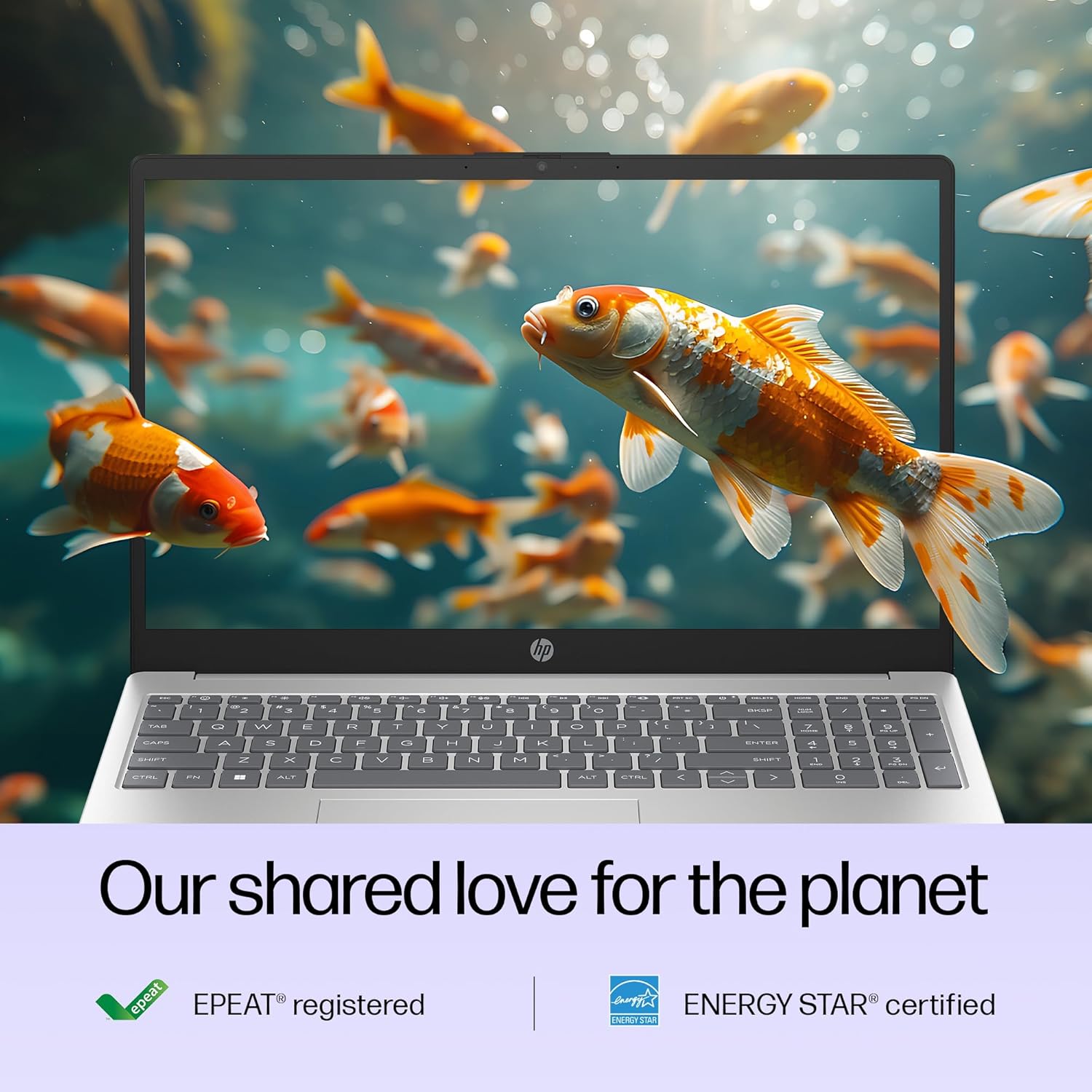 HP New 15 Intel Core i3 12th Gen (8GB DDR4 RAM/ 512 GB NVMe M.2 SSD/Windows 11 / MS Office'2021 / FHD 15.6" Screen/Silver / 1.59 kg/Dual Speakers) FD0061TU