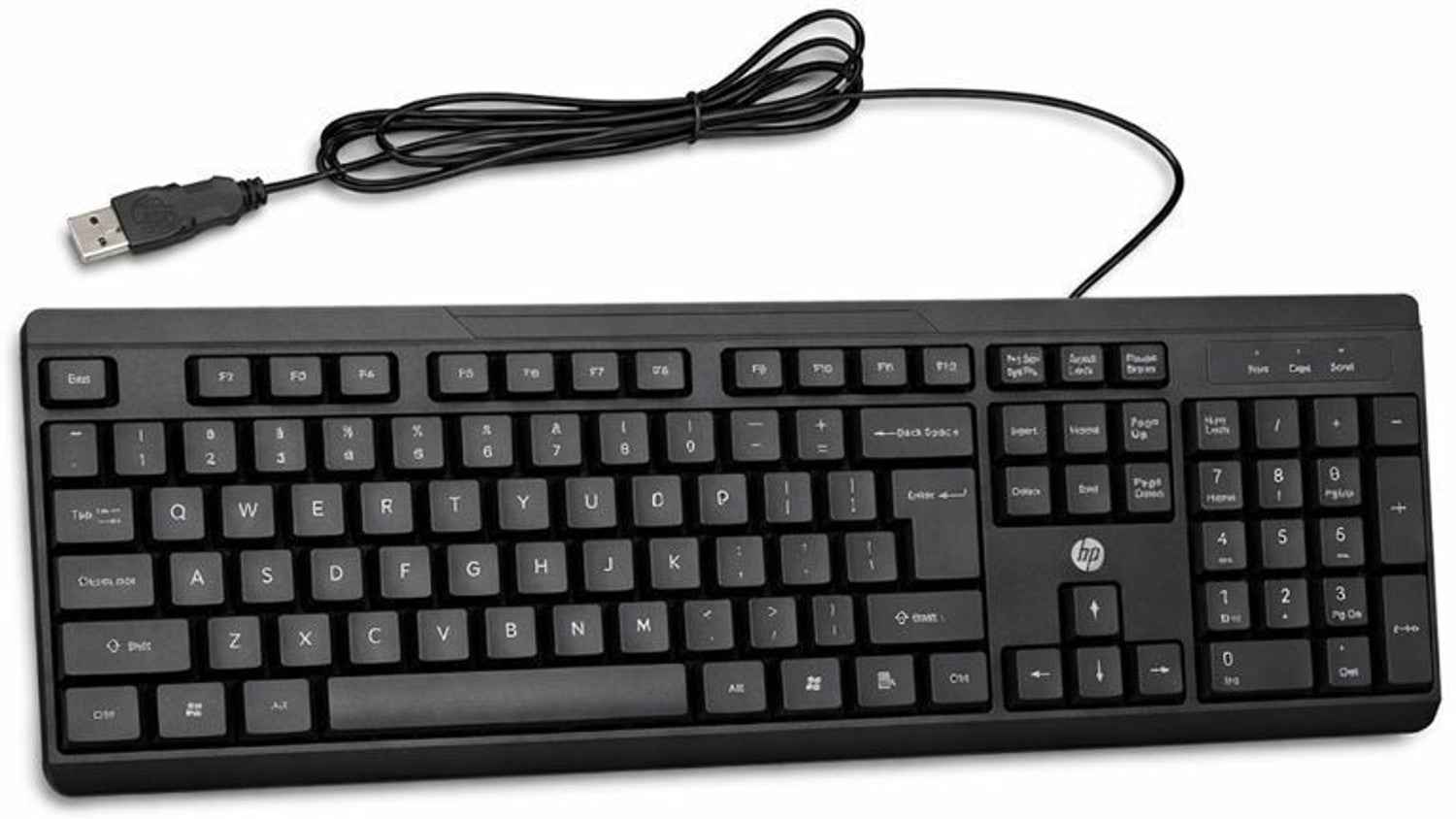 HP K125 Wired Keyboard (B43SXAA)